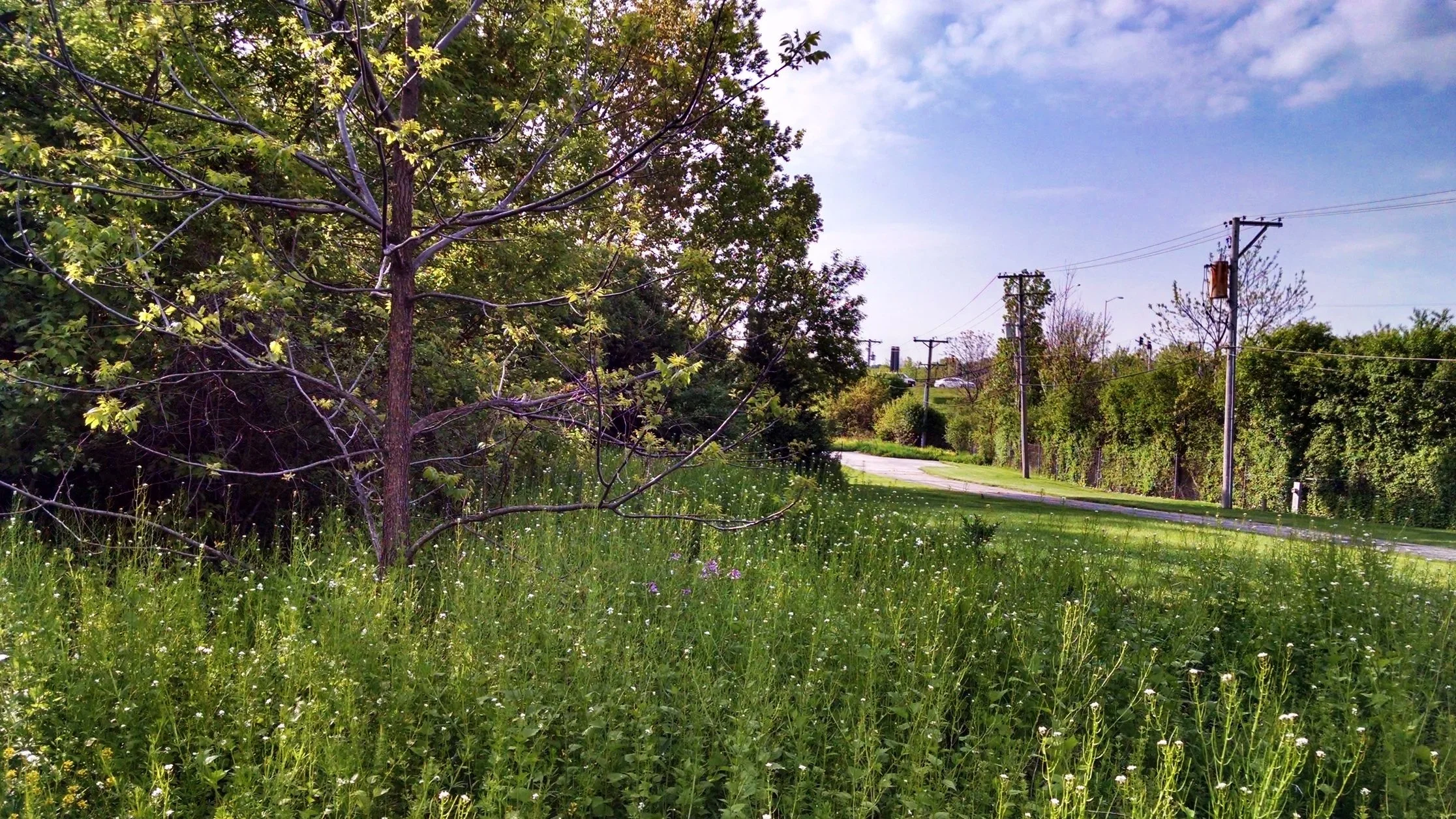 IMG_20160518_082341485_HDR.jpg