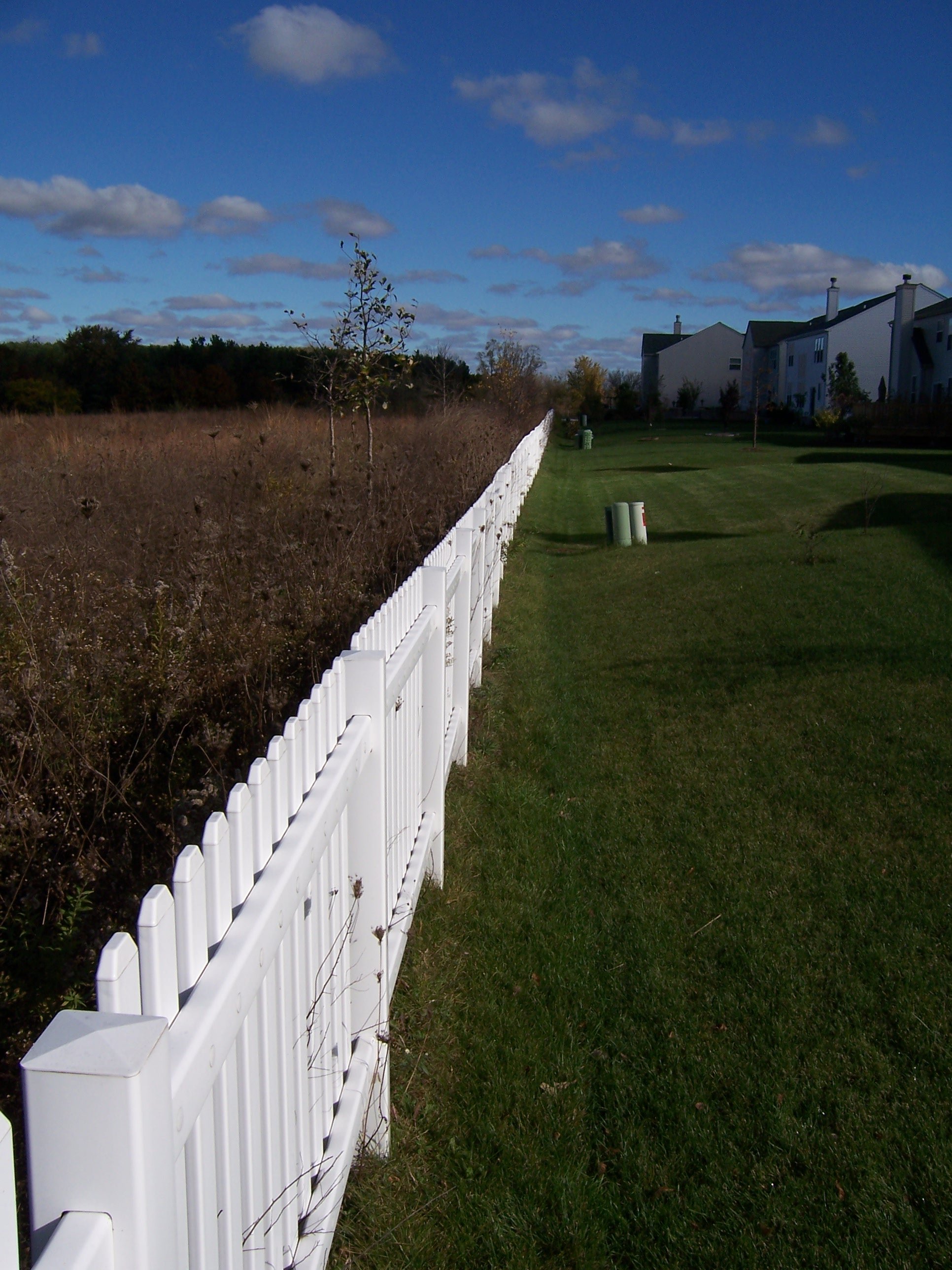 Redwing View_fence1.JPG