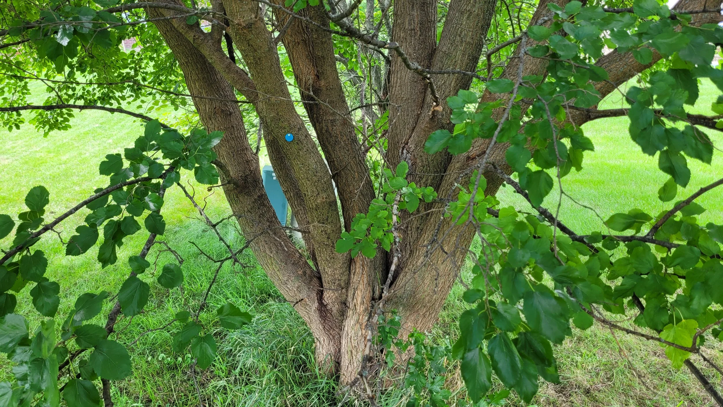 20250825_131844.jpg