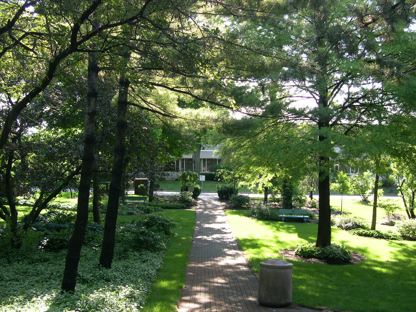 DSCN1546.JPG