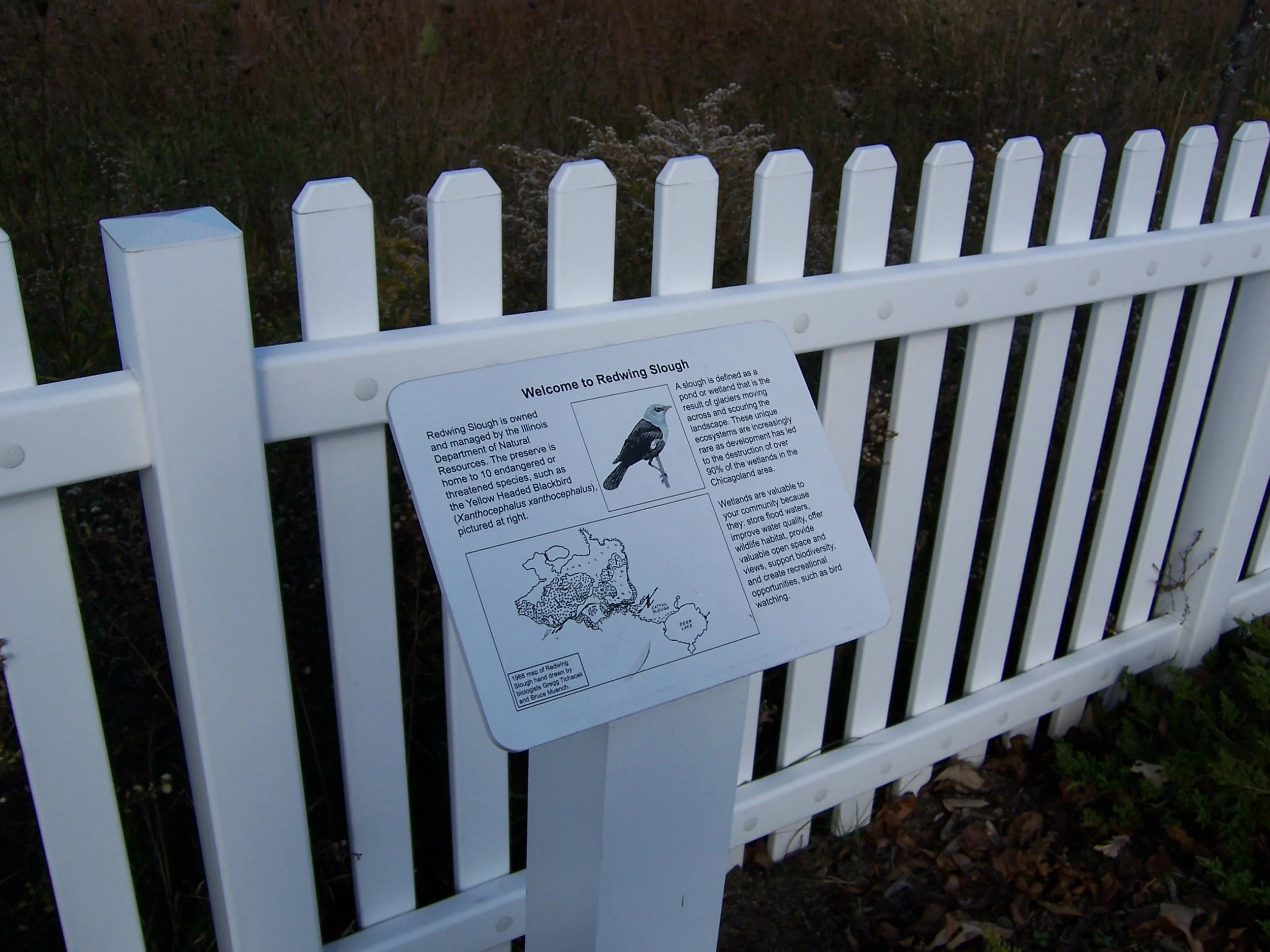 Redwing View_interpretive sign1.JPG