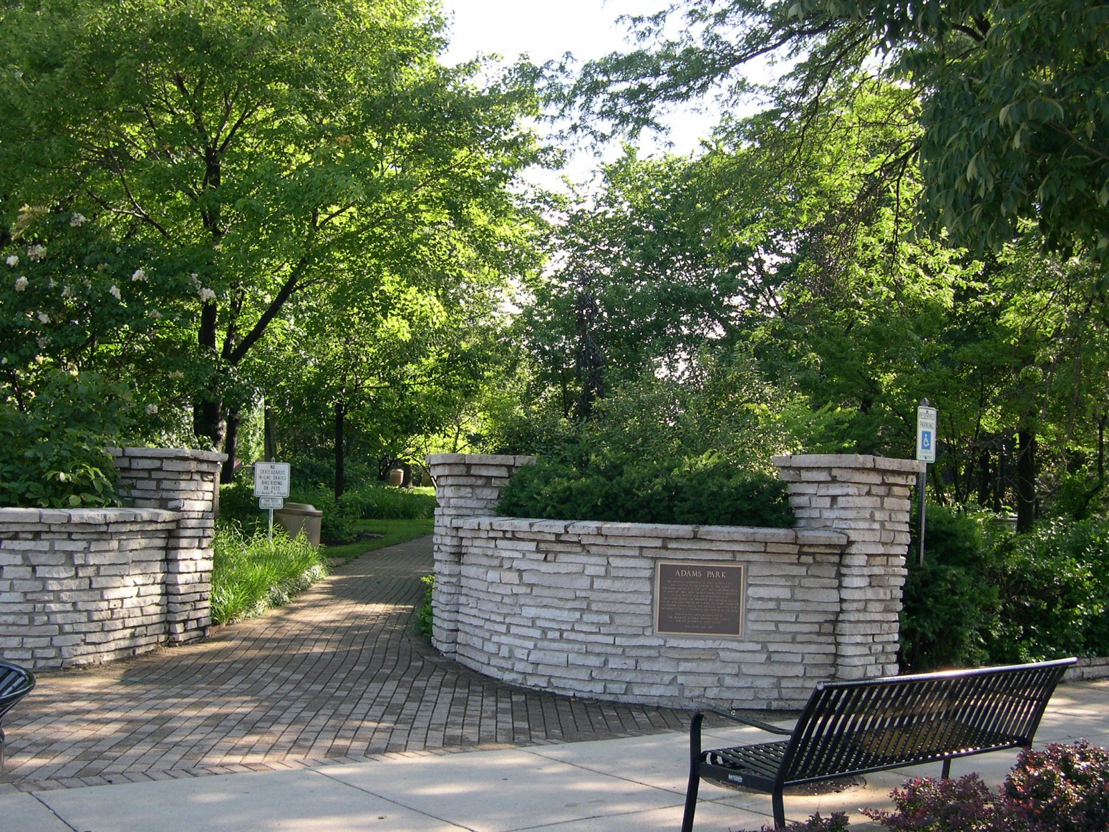 DSCN1526.JPG