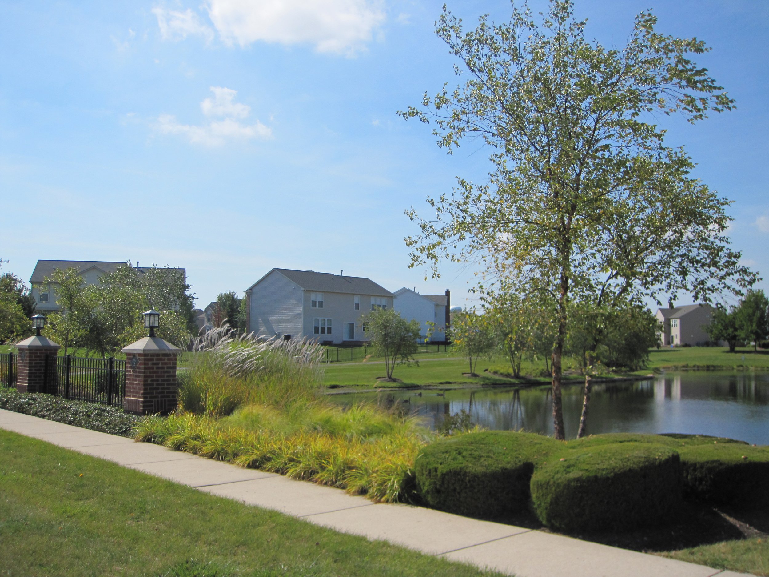 PU0330_pond4.JPG
