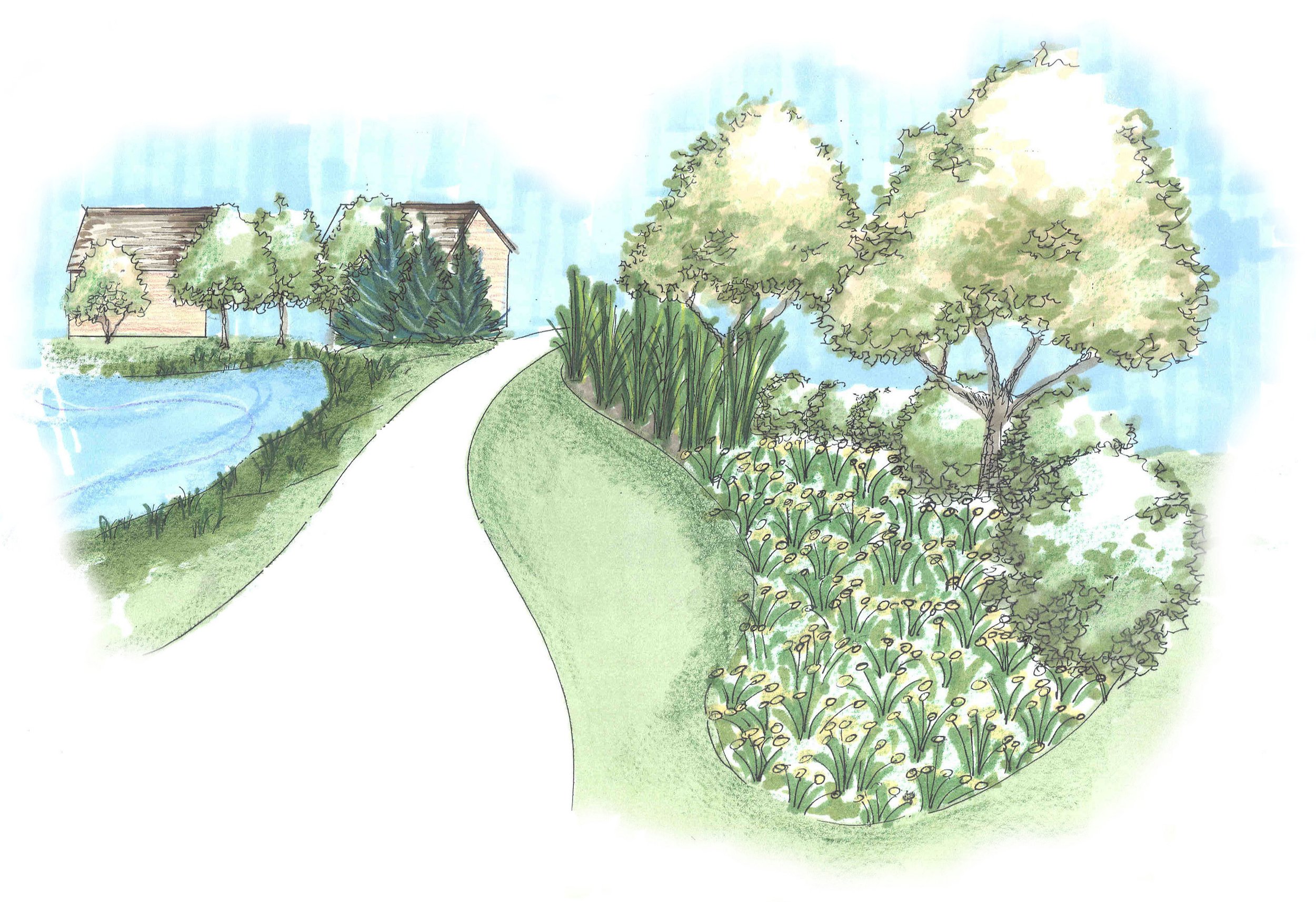 PLANTING01.jpg