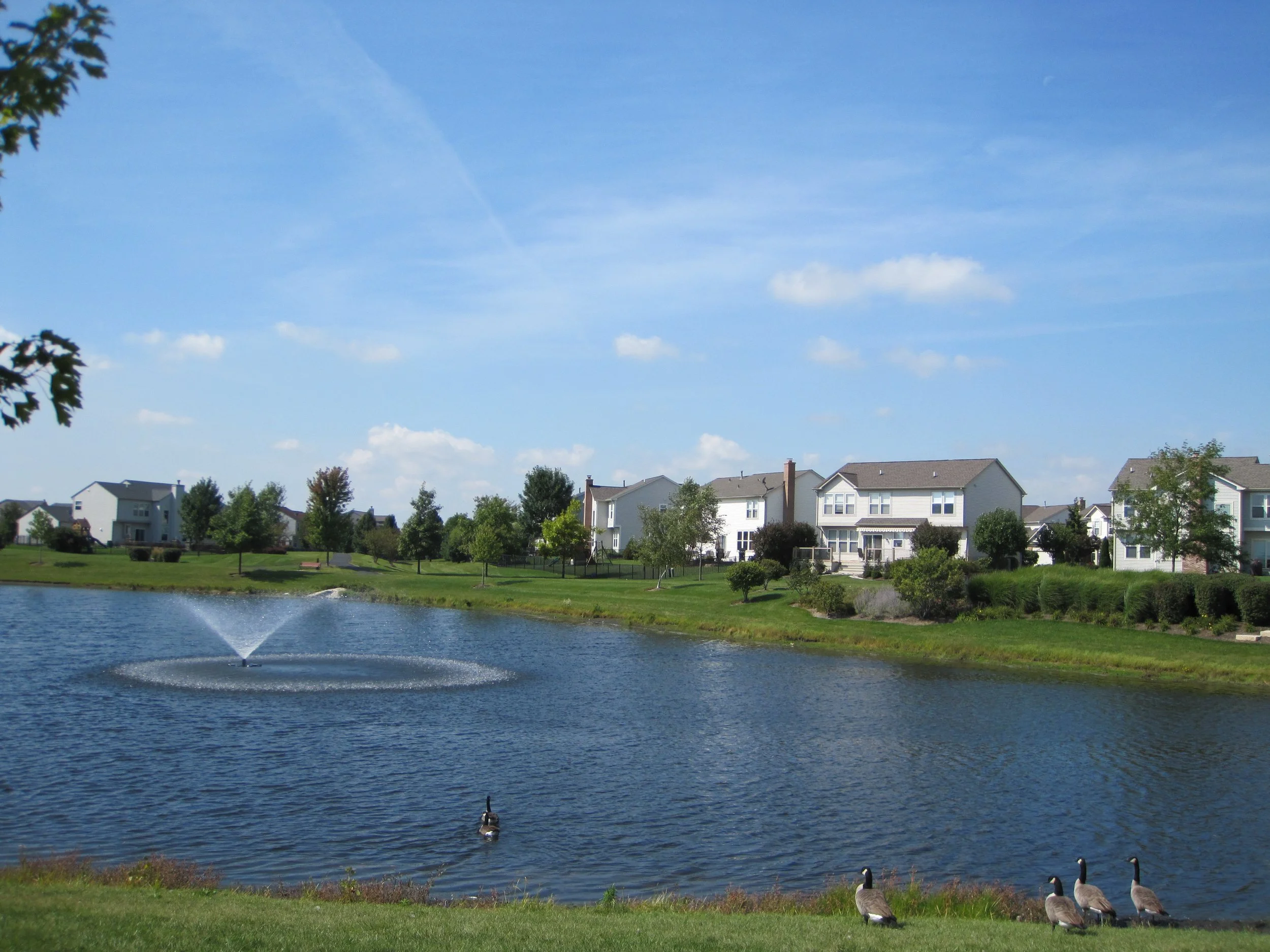 PU0330_pond3.JPG