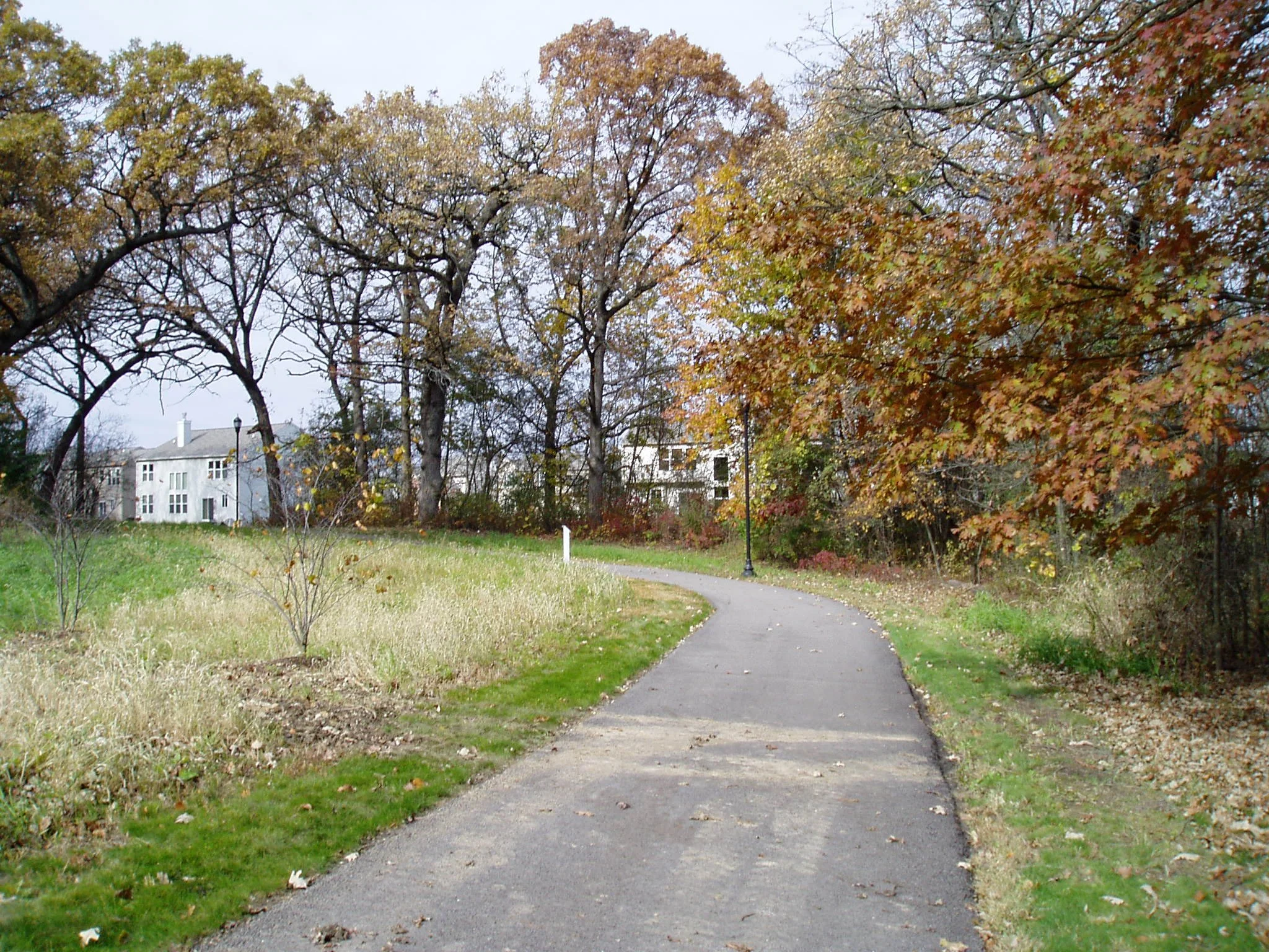 Redwing View_trail1.JPG