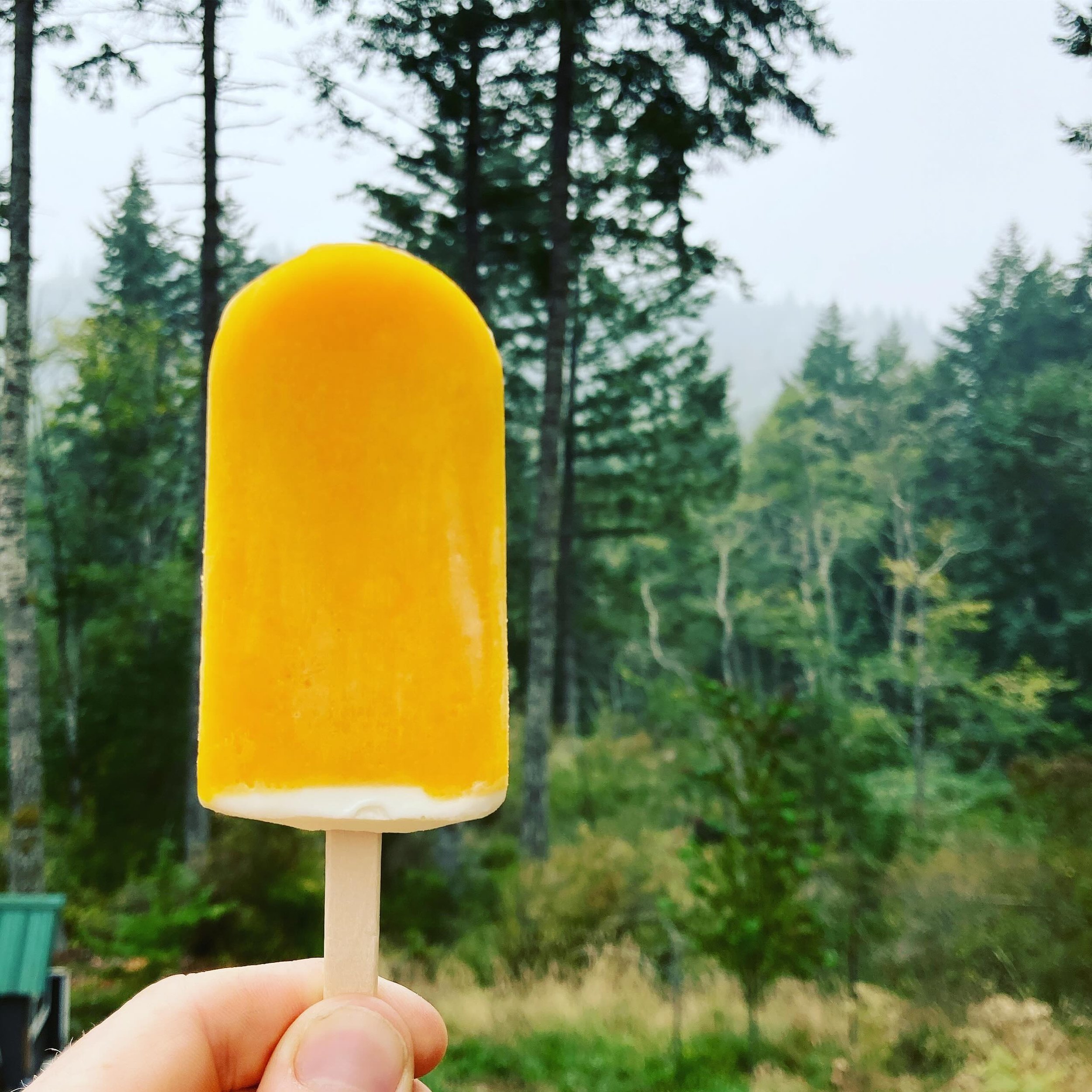 Popsicles are back!!! Open 9-3 scoops, pints, bars &amp; pops. Available at the shop and farmstand 🥳🥳