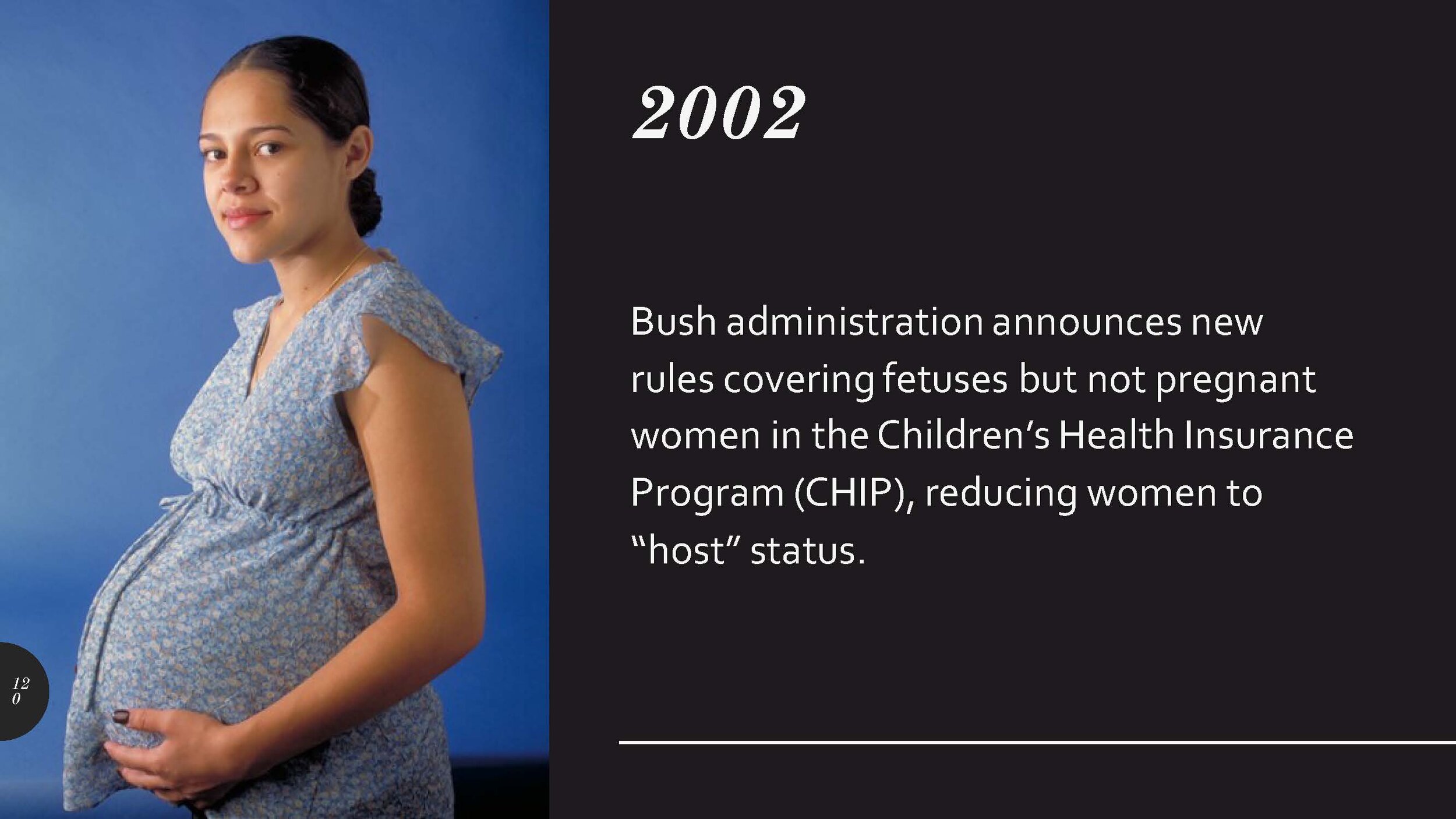 2002 Reduction of Pregnant Women to Hosts.jpg