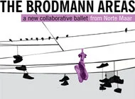 The Brodmann Areas
