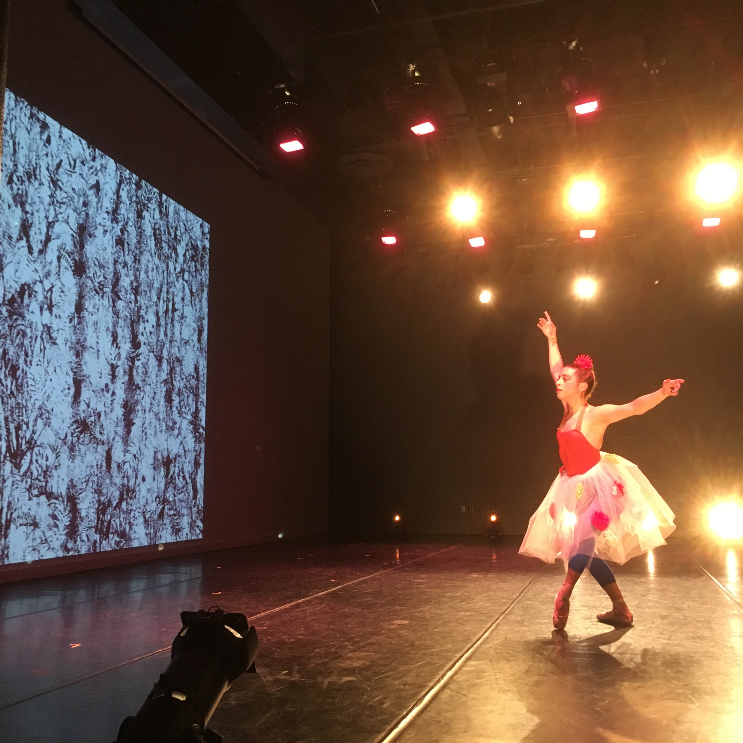  ”spring is almost here” by choreographer Janice Rosario in collaboration with visual artist Jessica Weiss 