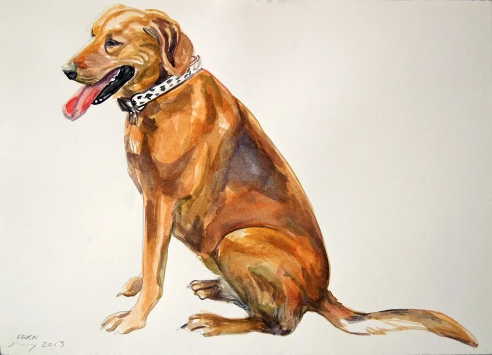 “Fern and her tail” by Brenda Zlamany