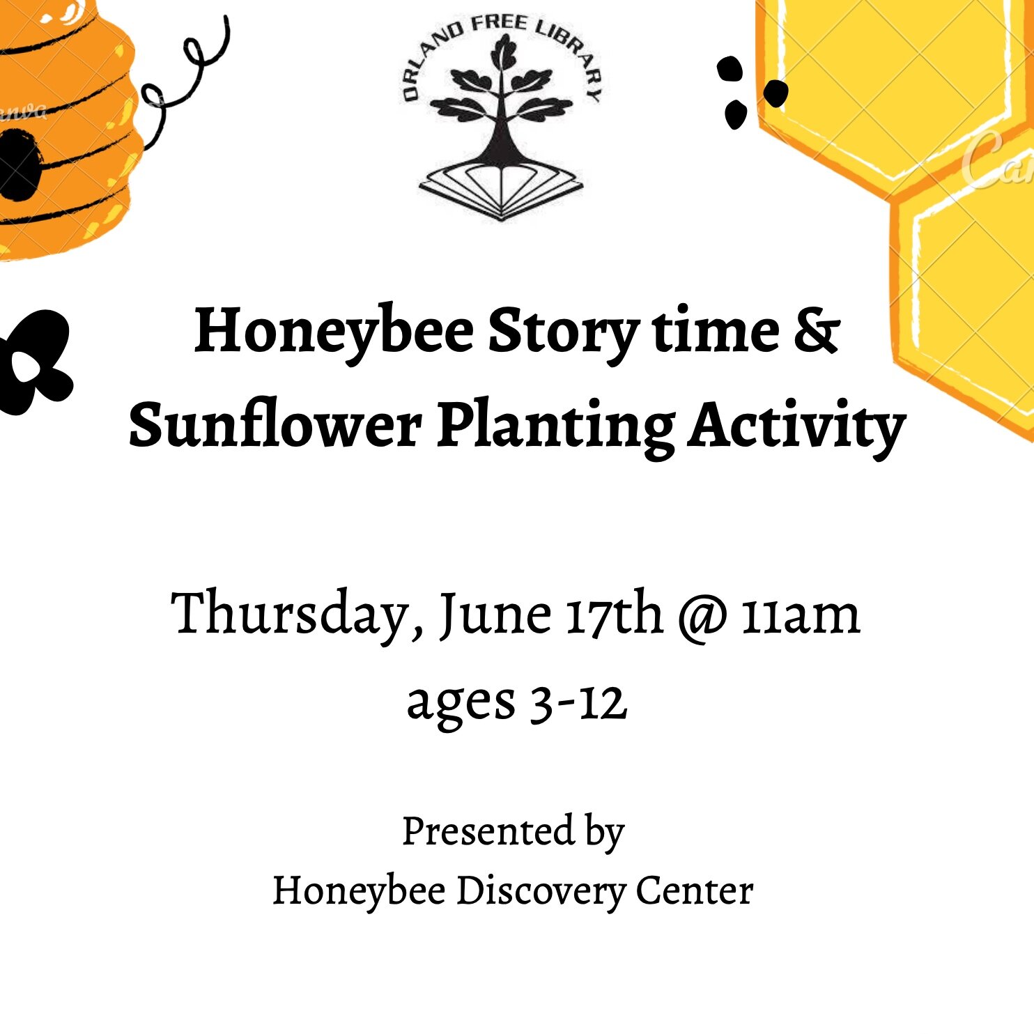 Honeybee Story time & Sunflower Planting Activity