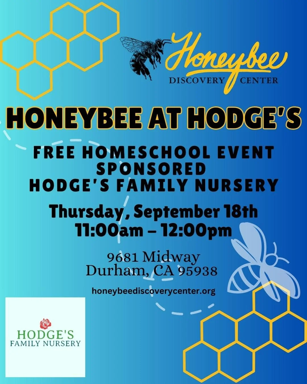 Honeybee at Hodge’s