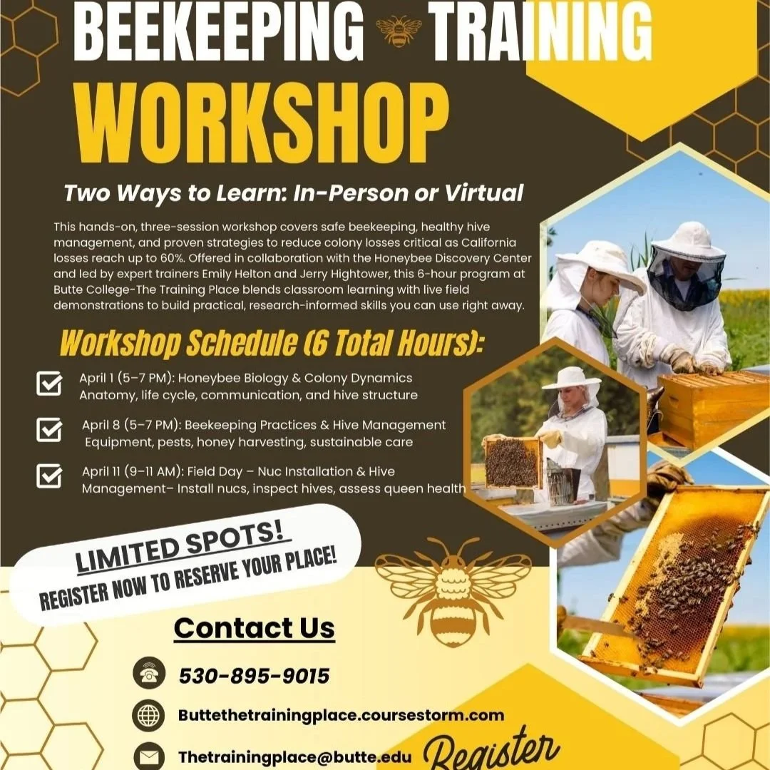 Beekeeping Workshop
