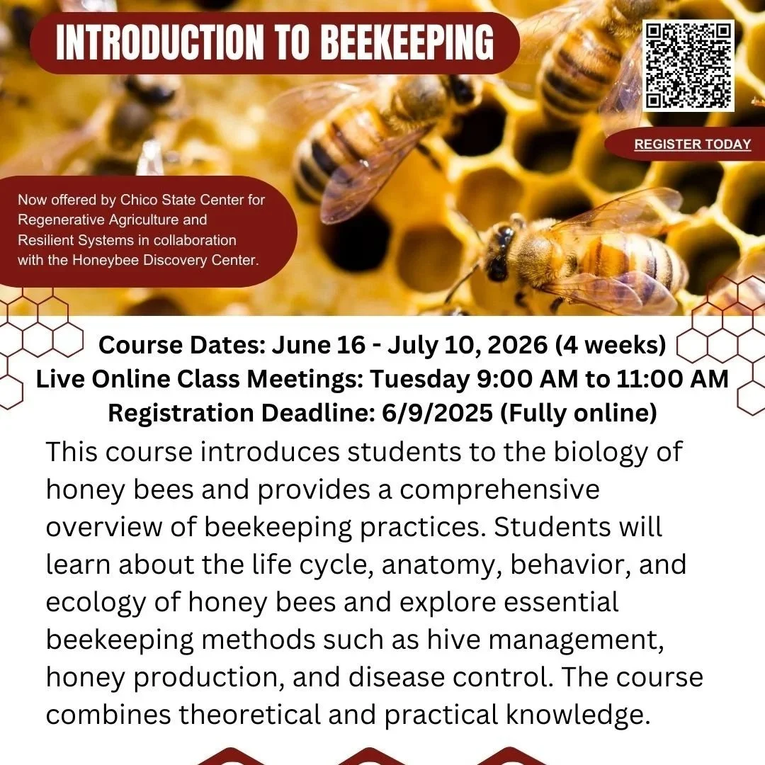 Intro to Beekeeping
