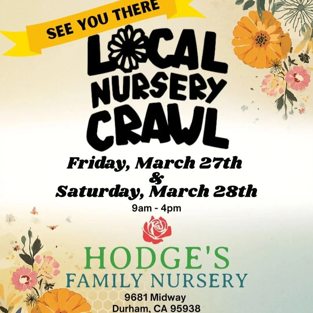 Local Nursery Crawl