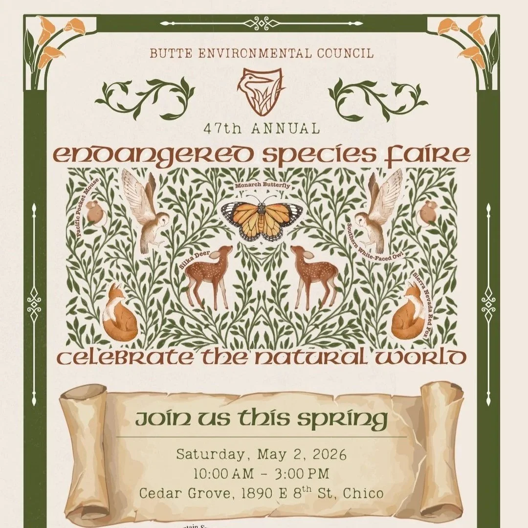 Endangered Species Faire