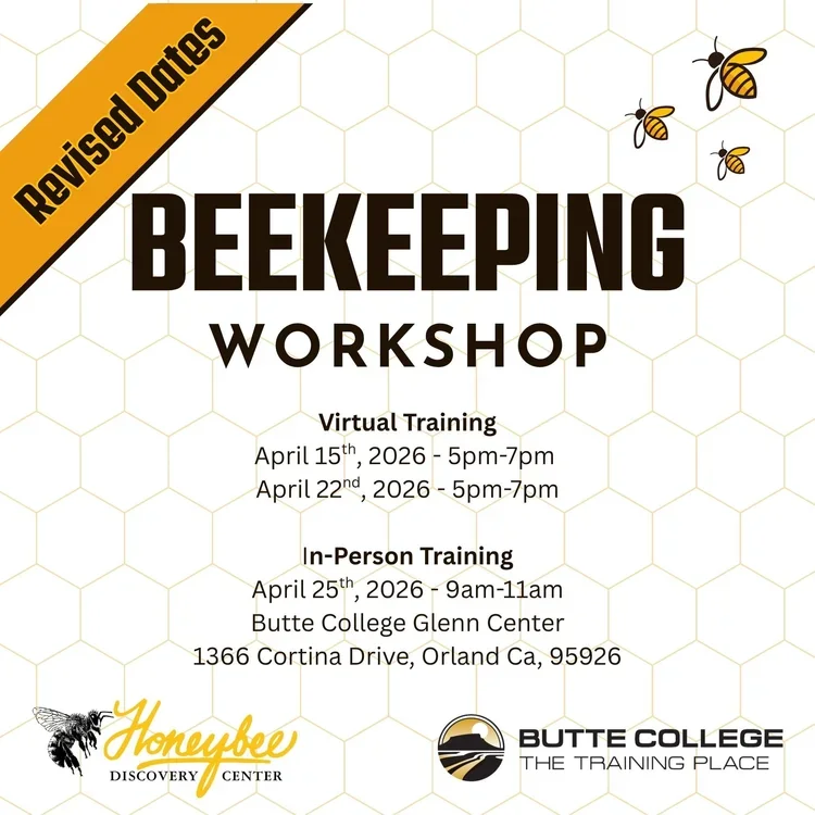 Beekeeping Workshop