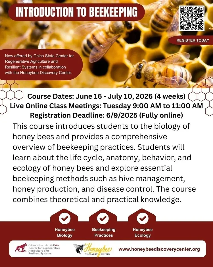 Intro to Beekeeping