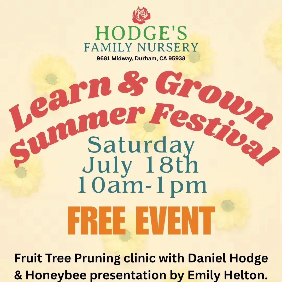 Learn &amp; Grow Summer Festival