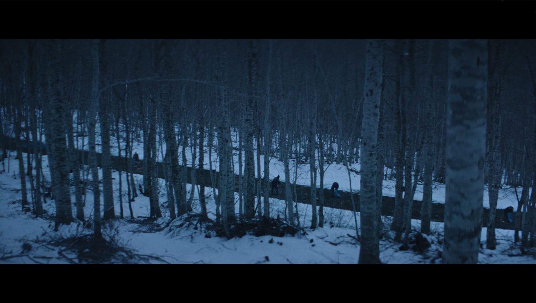 Screenshot 2025-09-10 164124.png