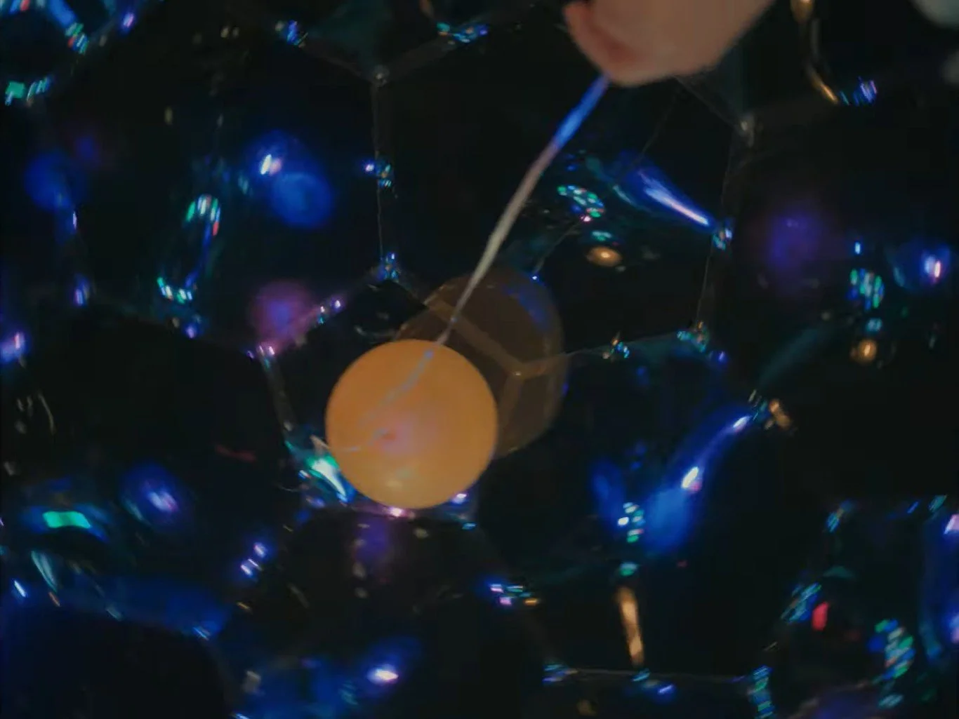 Screenshot 2026-01-29 202639.jpg