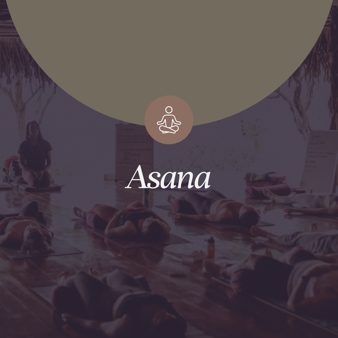 [Asana]