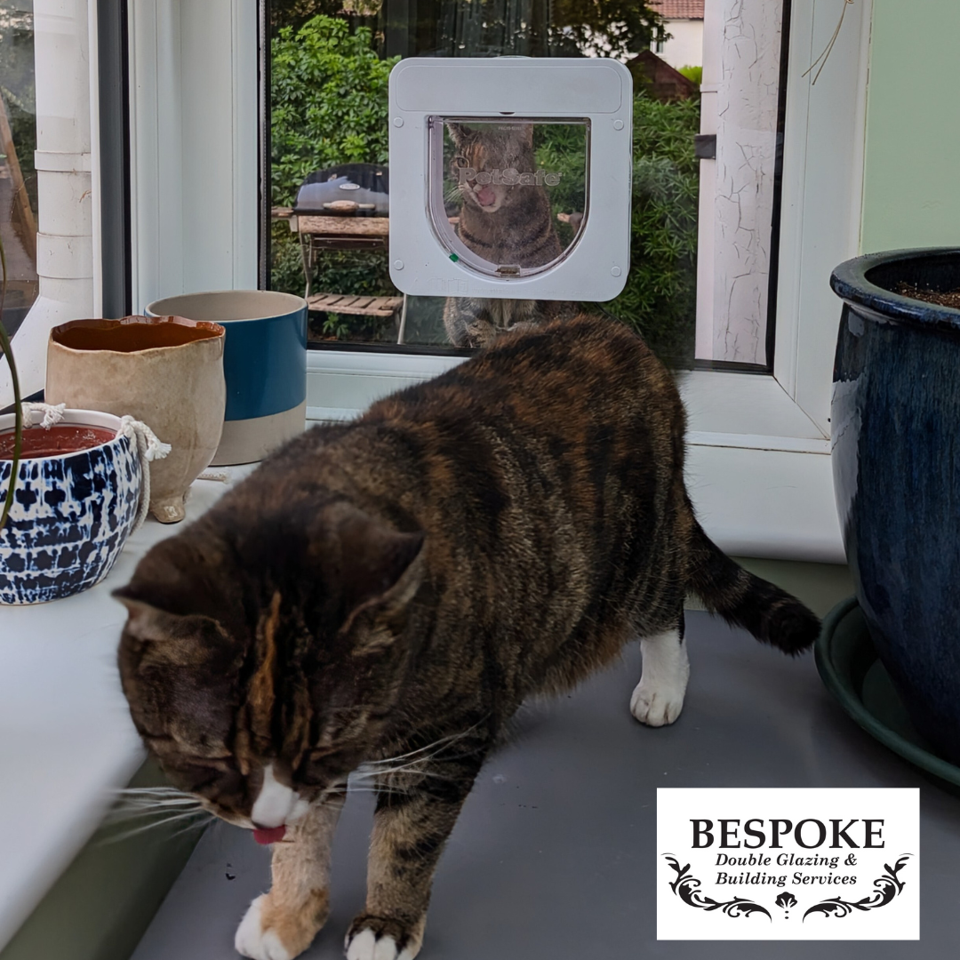 No need to flap we’ve got the solution for you and your cat