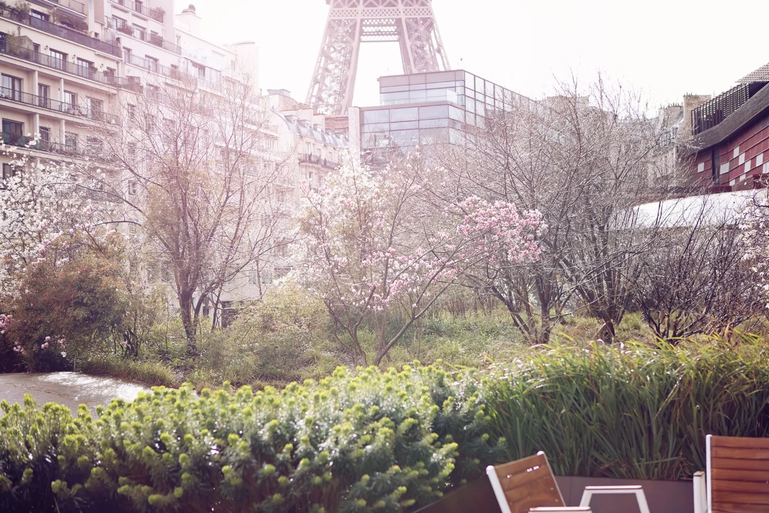 Museum jardin Quai Branly.jpg