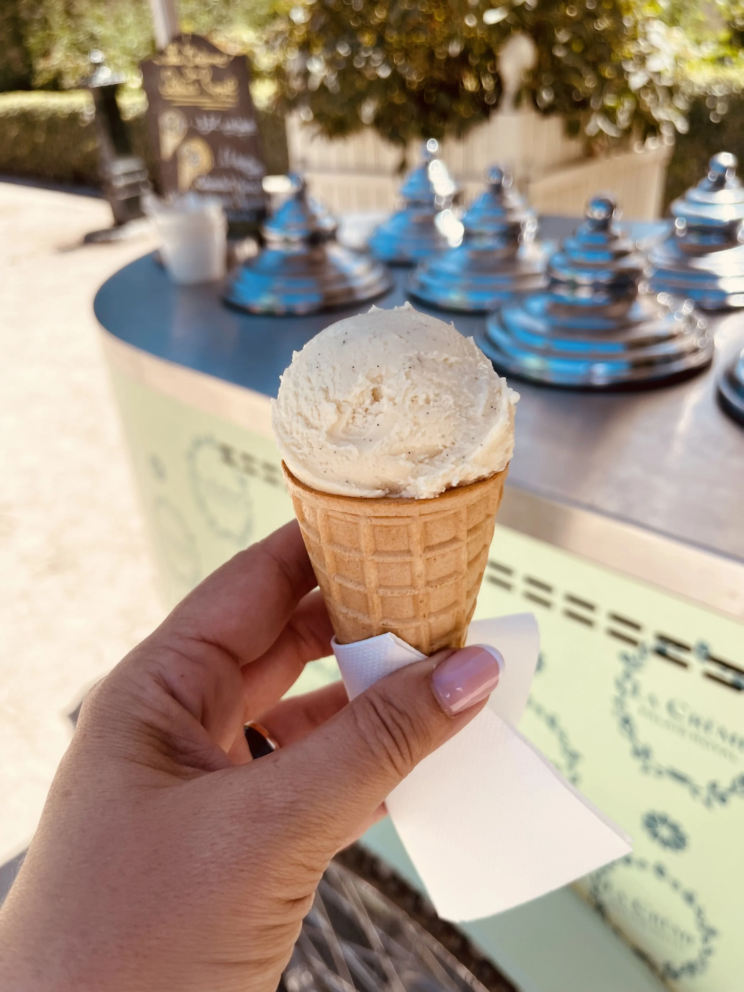 ijsje tuin palais Royal zomer.jpeg