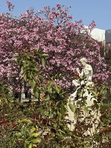 Bloesems Palais Royal