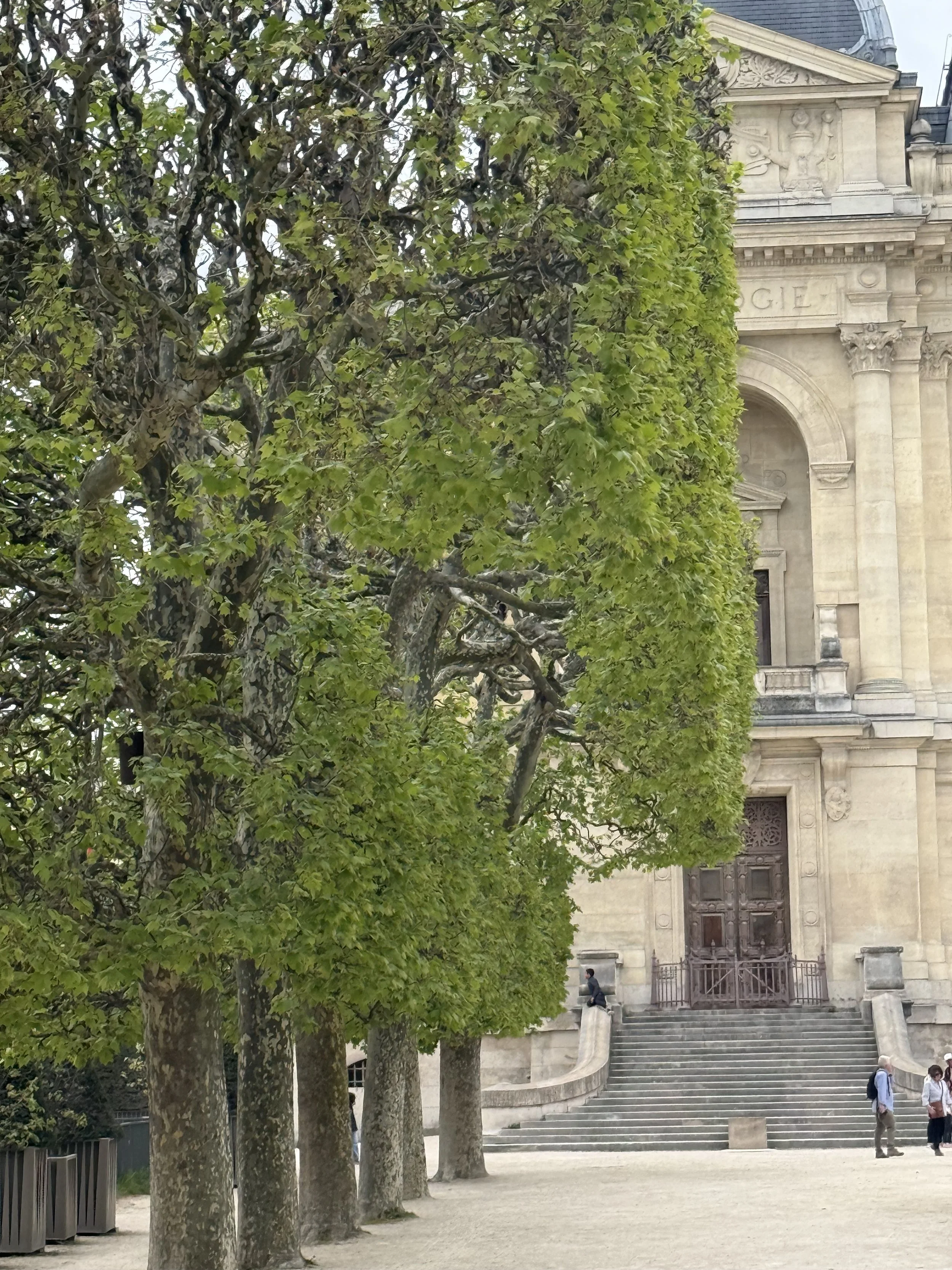 Jardin du Plantes