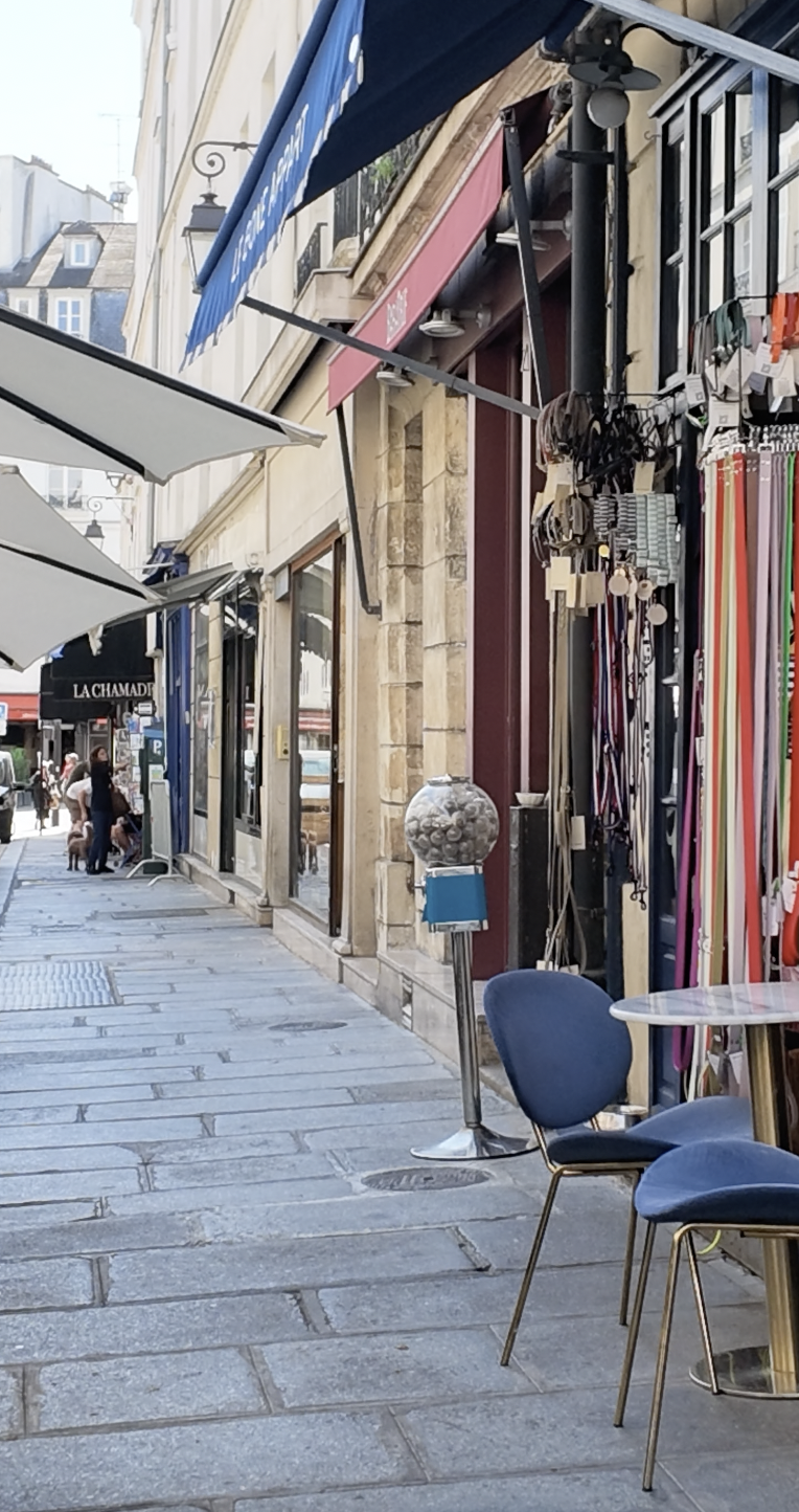 Hondencafe le Marais le Bone Appart