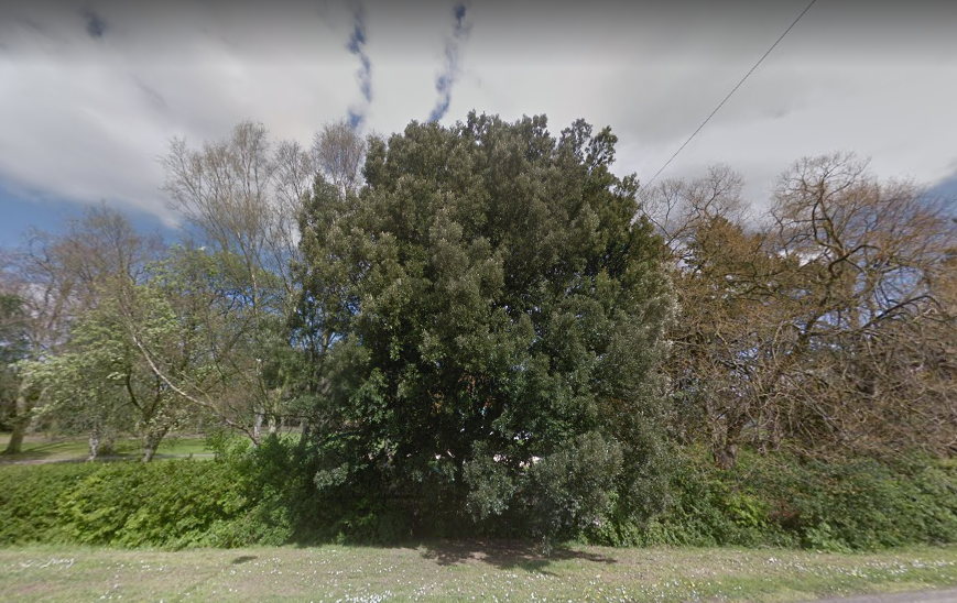 Bedtime Story Conservatory 14 09/04/2020