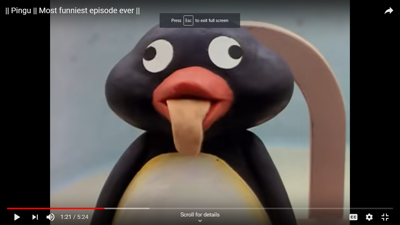 Bedtime Story Conservatory 31 26/04/2020