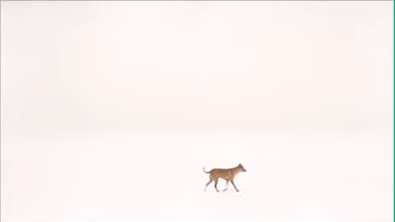 Martin Creed: Thinking/Not Thinking (Work-1090)