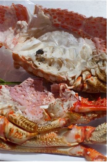 astro crusto, a,&nbsp;2012, Wolfgang Tillmans