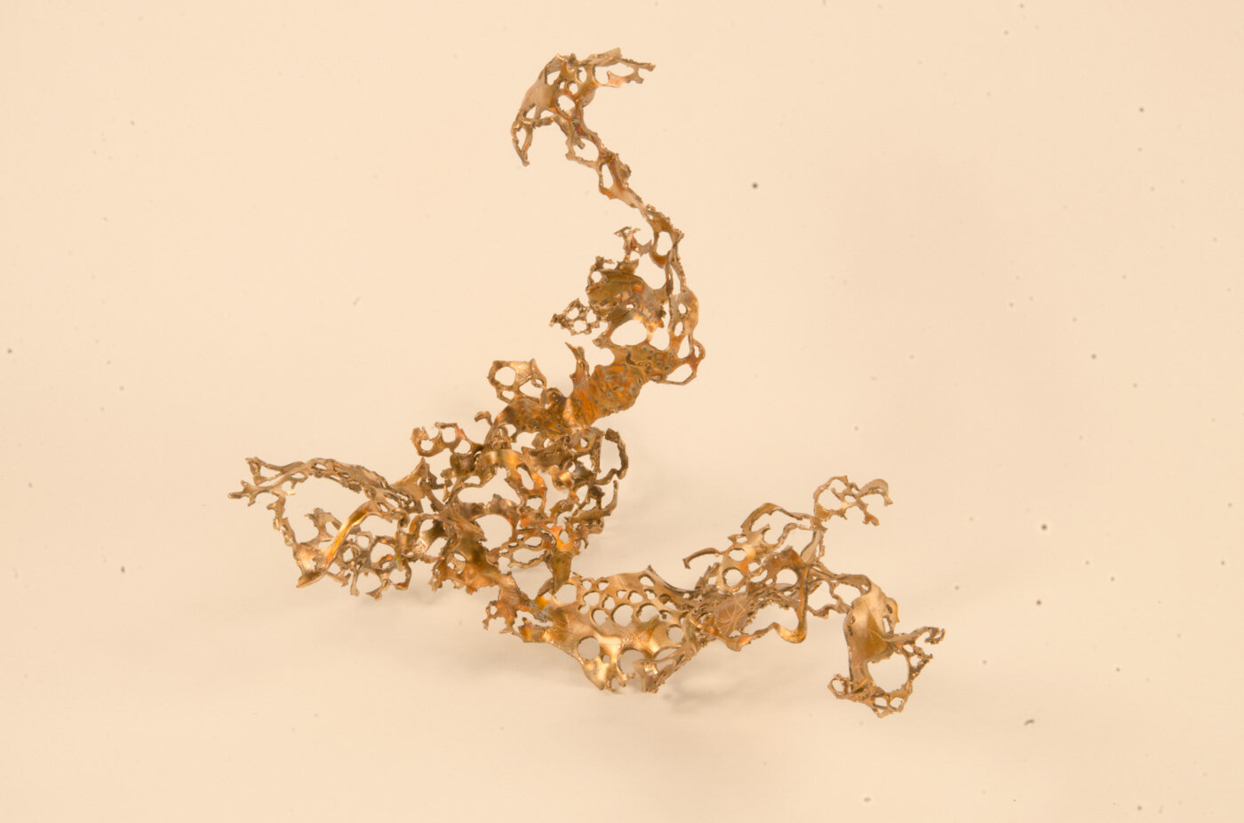 Beach Rock Dragon, 2015