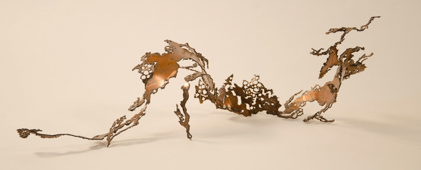 Dragon Bark Dancing, 2015