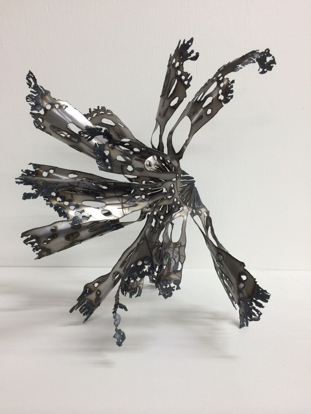 Flight of the Eucalyptus, 2014