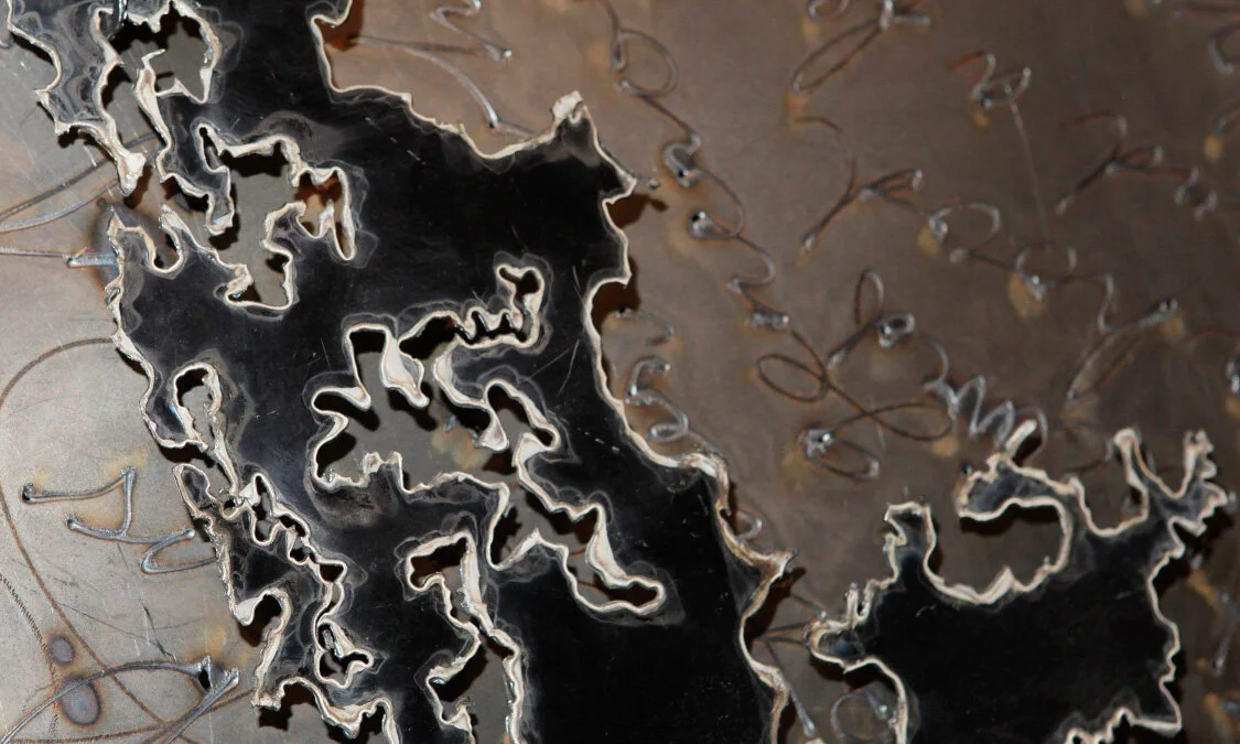 Conversation over the Fjords, 2013