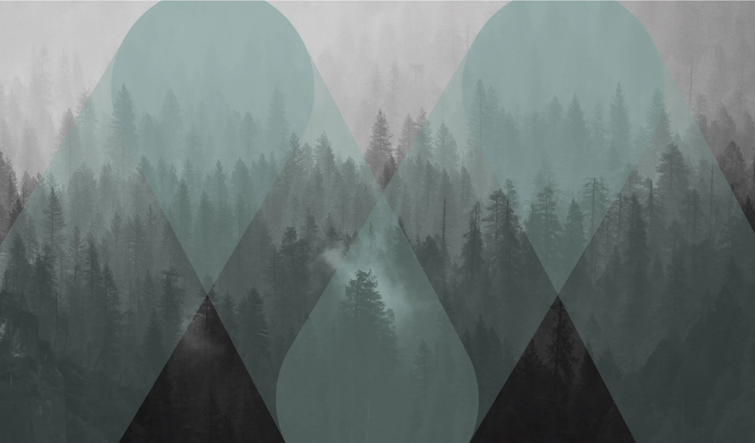 Mint Insurance Brokers Ltd