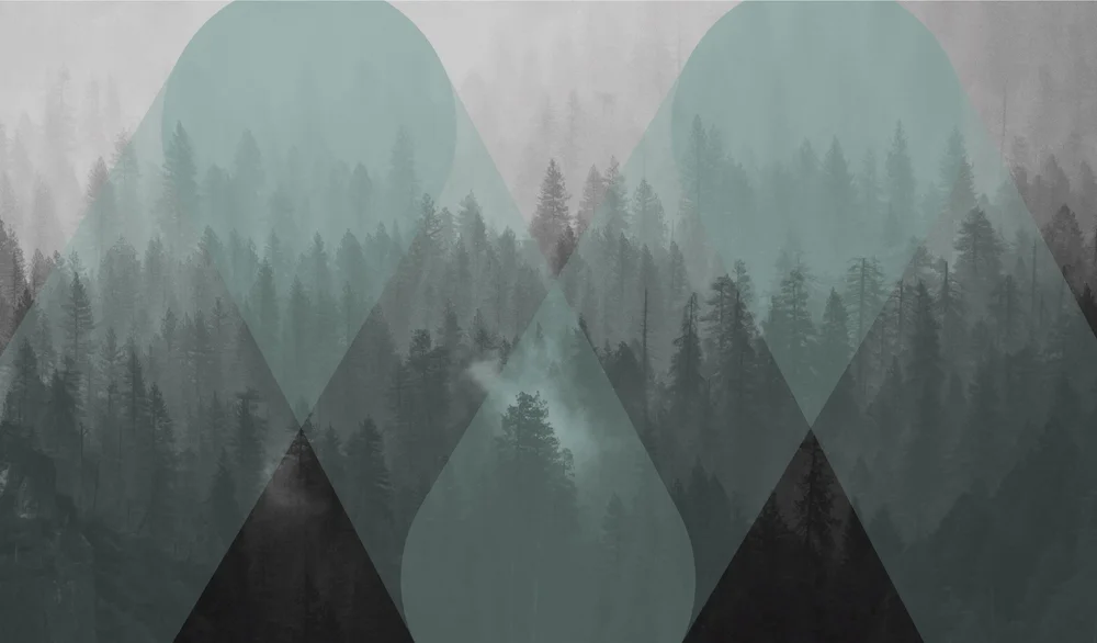 Mint Insurance Brokers Ltd