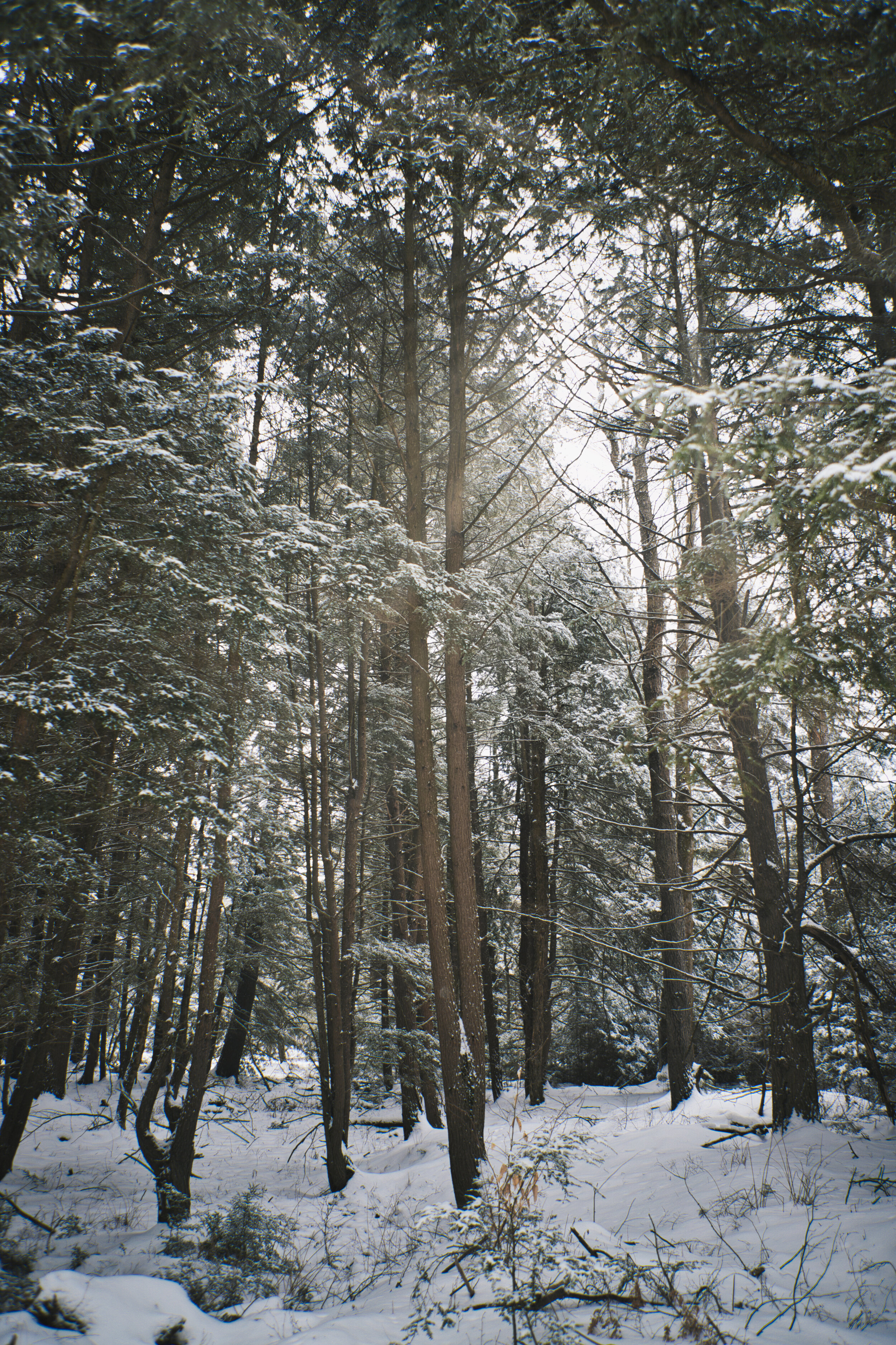 IMG_7790_Original.jpg