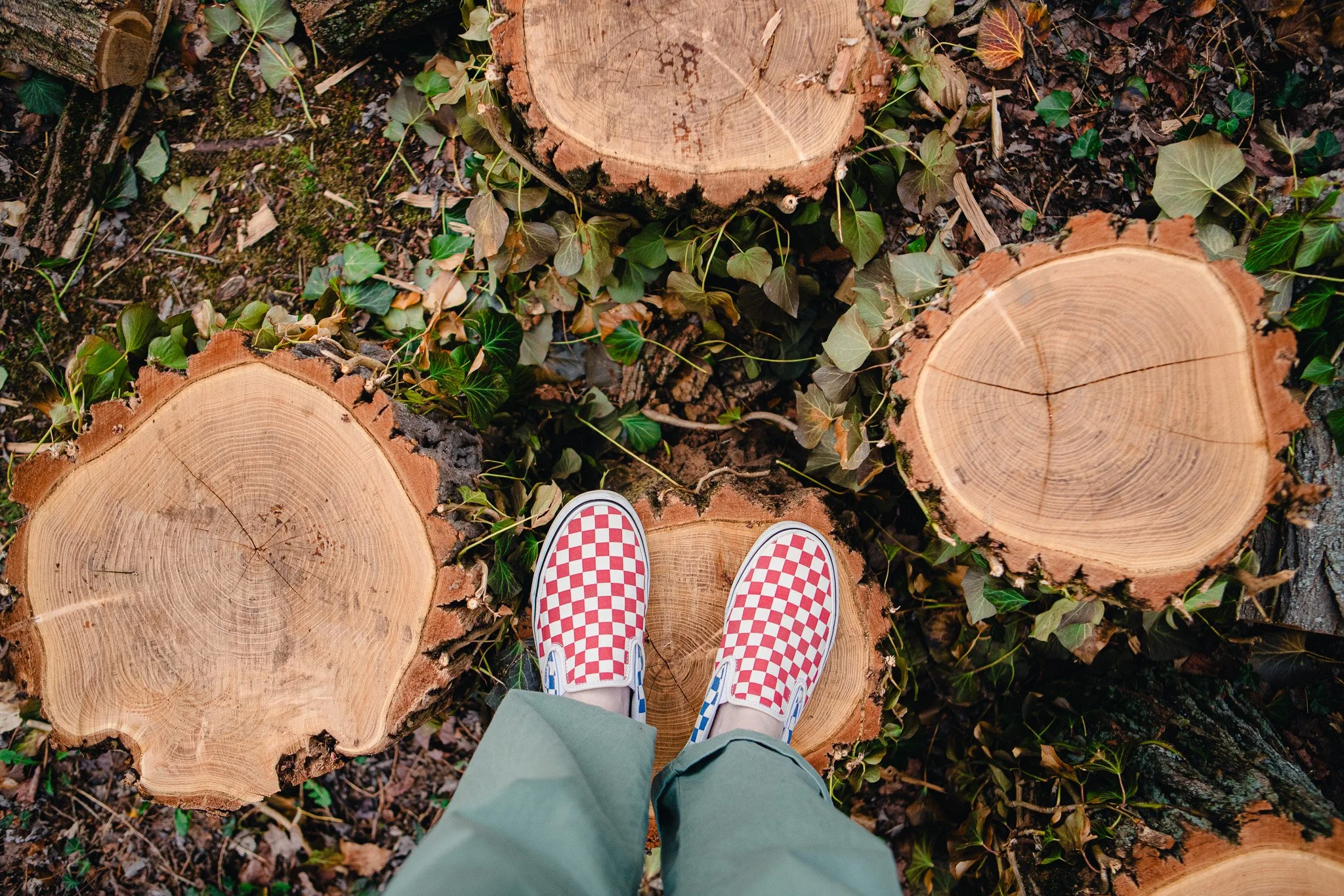 4/4/26—Timber