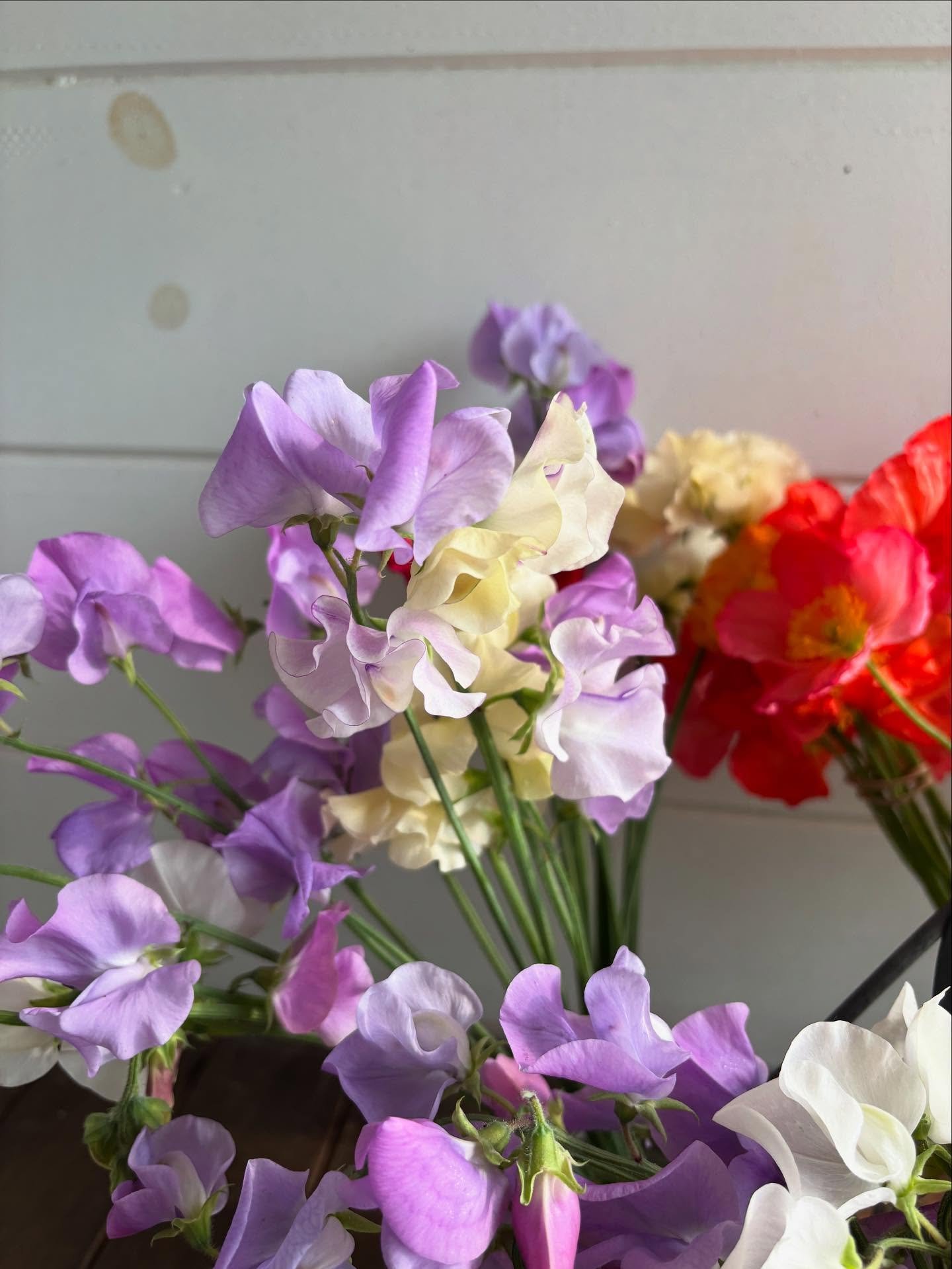 The flower stand will be open Friday and Saturday from 9&ndash;7! June blooms are at their best right now. Stop by for mixed bouquets, poppy and sweet pea bunches, and a few discounted DIY buckets (perfect for Father&rsquo;s Day parties). We&rsquo;d 