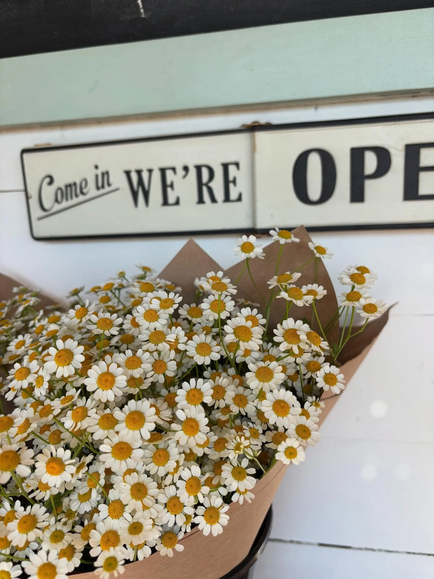 A peak a what has been blooming this week. The flower stand will be open tomorrow, Friday the 4th and will be stocked with all kinds of flowers! We will be closed on Saturday. #michiganflowerfarm #southhavenmichigan