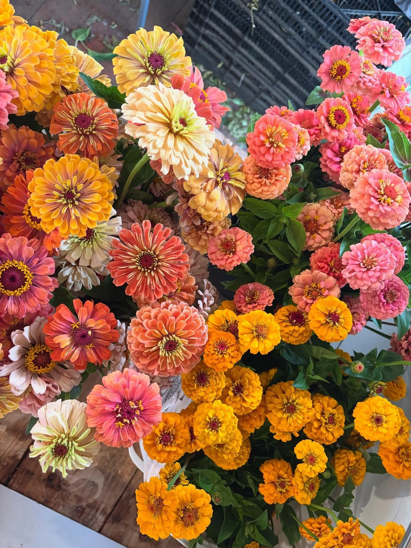 We are entering into the season of abundant local flowers. Come grab a bunch at our flower stand. We are open Fridays and Saturdays.  Location: 608 71st St. 💐🌼🌻#southhavenmi #localflowers #southwestmichigan