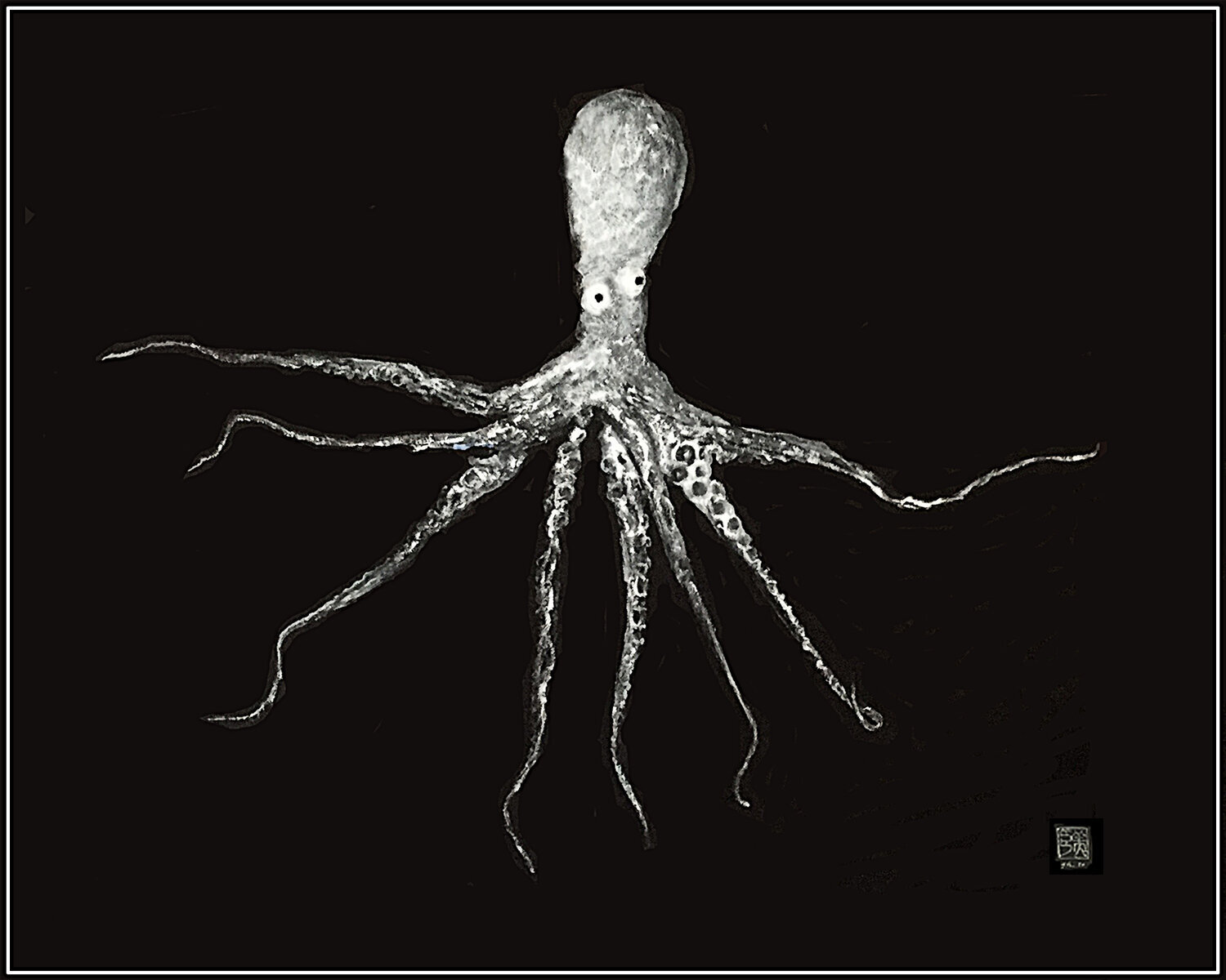  "Francesco" Octopus Rubbing