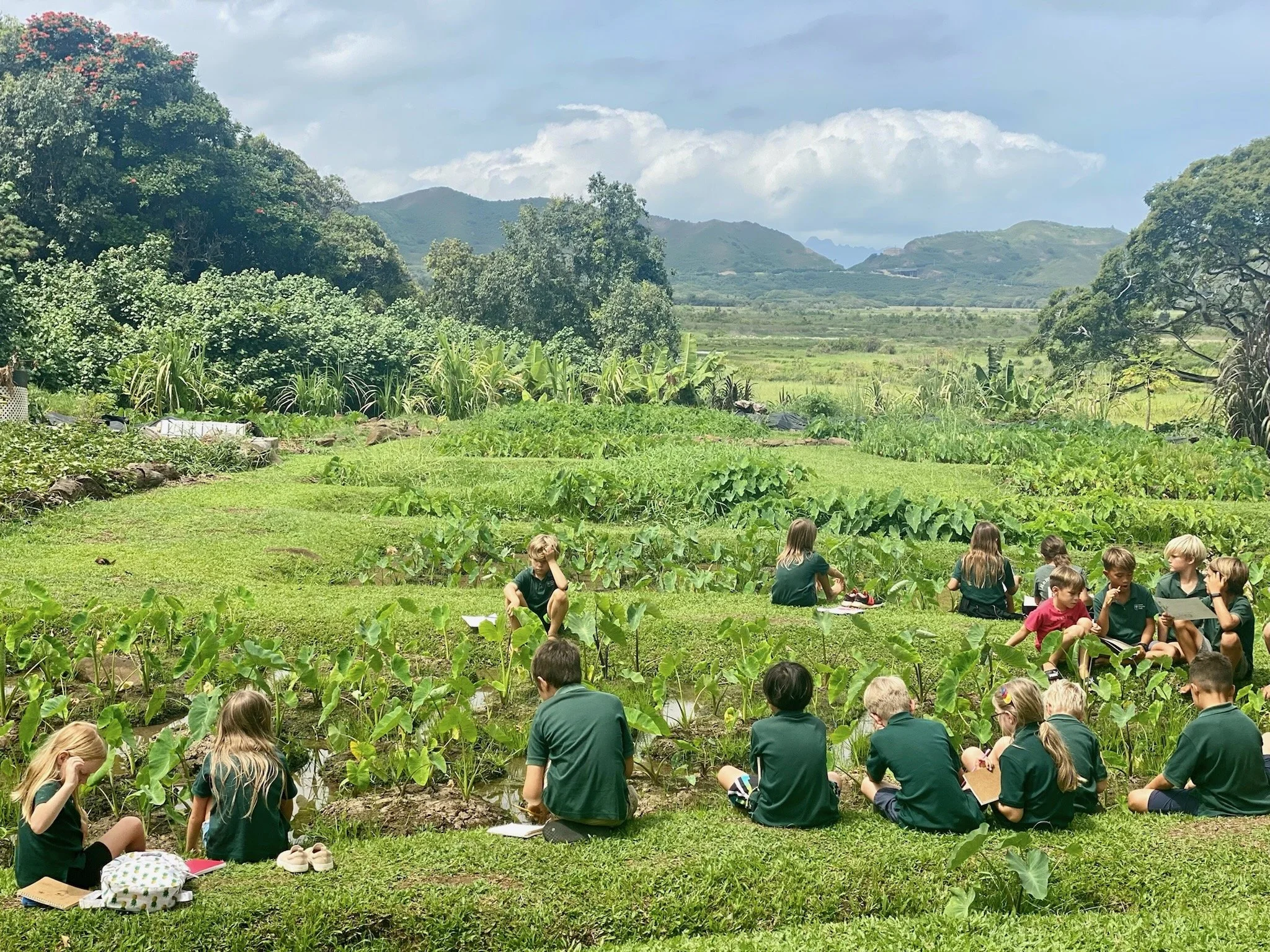 SBH Kindergarten Application — Saint Benedict Hall